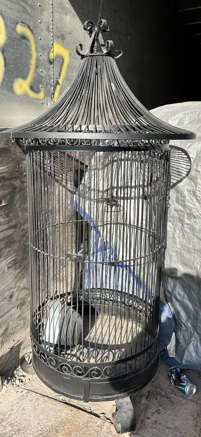 Large bird cage, View more