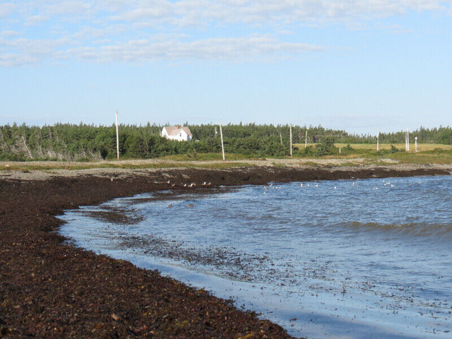 Coastal Cove B&B in Nova Scotia - Image 3