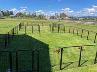 Wanted: temporary/movable fencing 