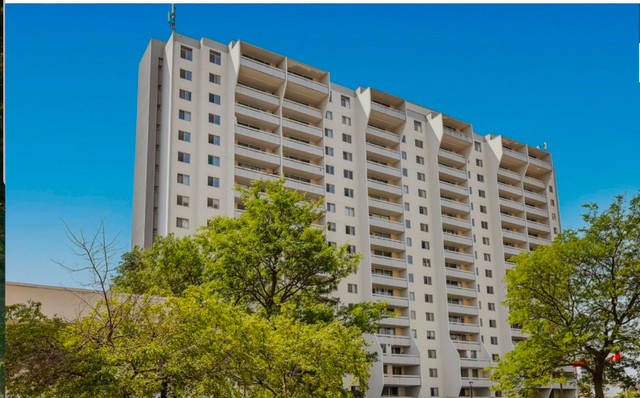 Waterloo Male Shared Apartment $1200/month inclusive with Gym in Room Rentals & Roommates in Kitchener / Waterloo