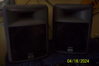 Pair of Peavey PR12 Speakers