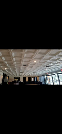 coffered ceiling/ plafond a caissons