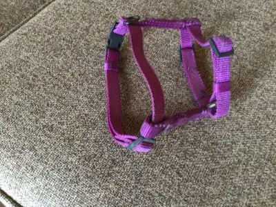 Cat harness, View more