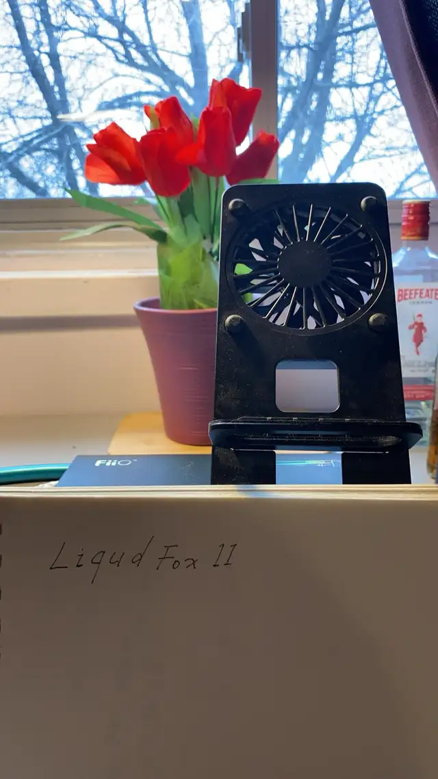 FIIO M17424774645307811841