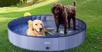 Funyole Foldable Dog Pool 48” Portable Dog Pet Pool Bathing Tub