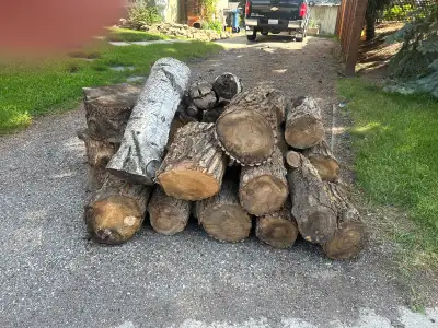 Free Dry Firewood , View more