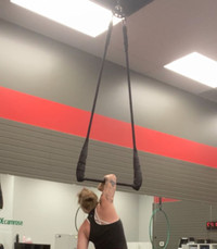 Trapeze, Like new; JuggleGear, 59” ropes