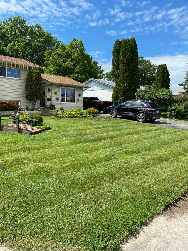 Charleswood/St James/Headingly spring clean ups and lawn care!! in Lawn, Tree Maintenance & Eavestrough in Winnipeg - Image 3