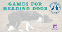 Games for Herding Dogs workshop