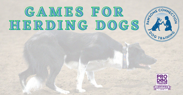 Games for Herding Dogs workshop in Animal & Pet Services in Edmonton - Image 2