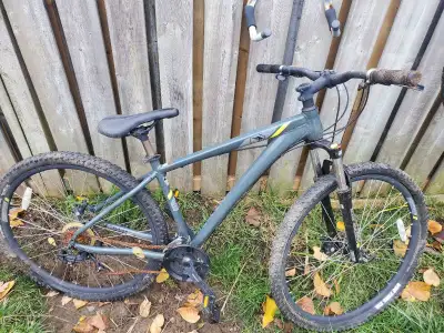 raleigh mountain bike , View more