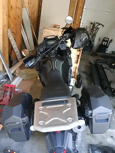 Need to sell bike to cover vet bills.
