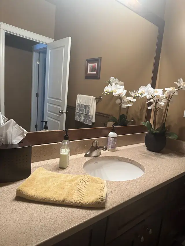 Cleaning service Saskatoon 555661628340981762