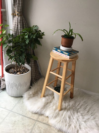 Wood Stool/Plant Stand
