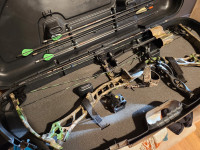 Compound bow for sale