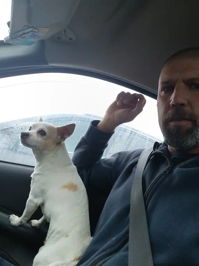 Heading East64750352533121121