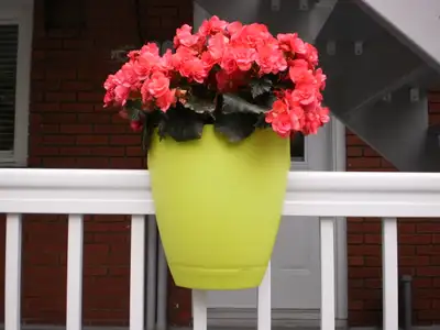 6 Jardinières colorées 50$ ou a l'unité, View more
