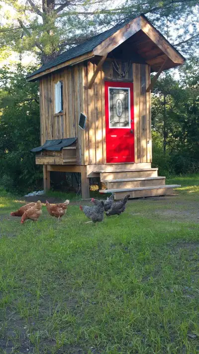 wood chips wanted, View more