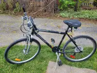 Classic Raleigh hybrid cruiser bicycle 