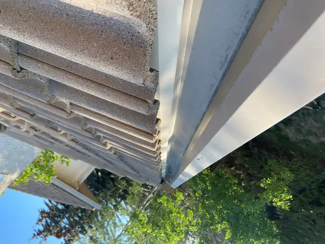 ManUponRoof Local Gutter Cleaning, AFFORDABLE, FREE ESTIMATE62863234416771124