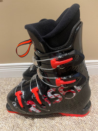 Ski shoes 