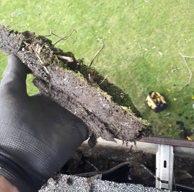 Gutter and Window Cleaning560187903627110406