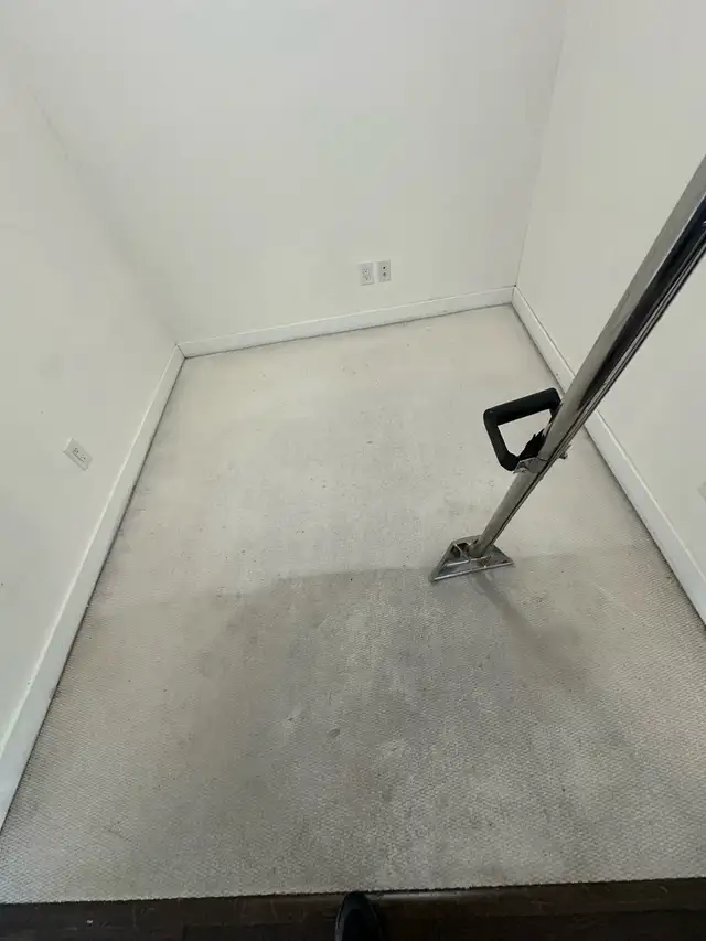carpet and sofa fresh up