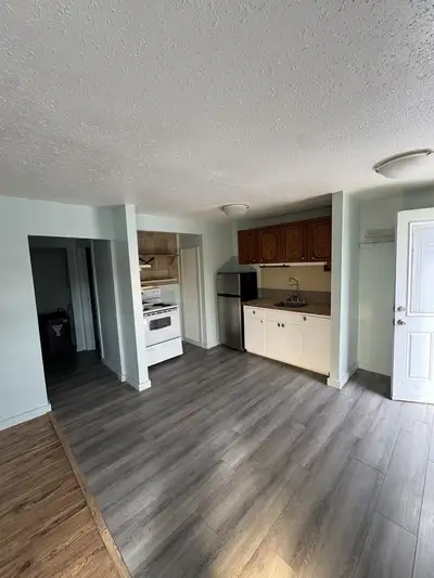 Discover this bright and cozy 1-bedroom apartment in the heart of Greenwood, BC — a historic mining...