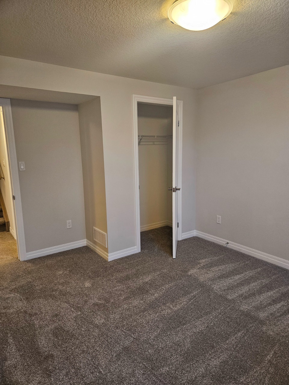 Sunny basement suite 3
