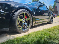 2003 SVT COBRA MUSTANG