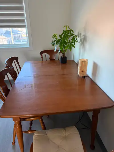 solid wood extendable dining table + chairs and seat cushions, View more