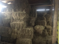 Construction hay for sale