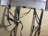 Horse size driving harness 