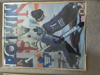 Toronto Maple Leafs Felix Potvin Starline Poster/Picture