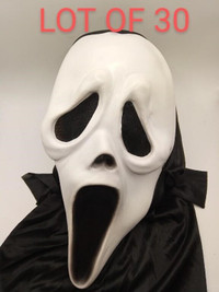 Adult Halloween Scary Ghost Mask. White/Black