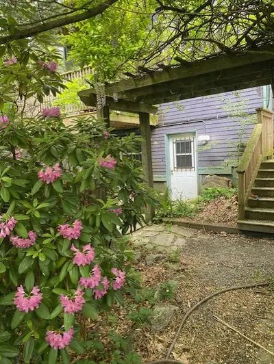 Walk-out garden suite. One-bedroom unfurnished apartment with an open floor plan and shared back gar...