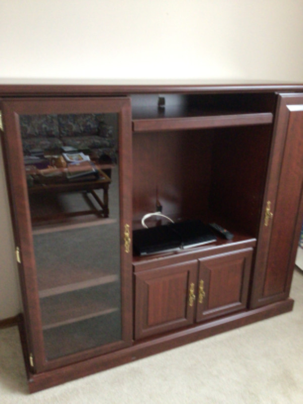 T.V cabinet in Bookcases & Shelving Units in Thunder Bay