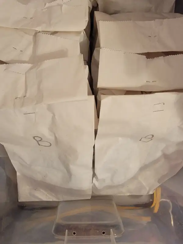 Mystery Bags! Help Rescue Animals