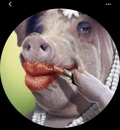 friendship, View more