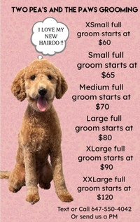 Affordable Pet Grooming !!