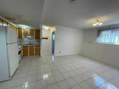Elevated basement suite - 1bdrm 1.5 bath