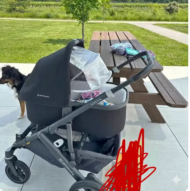 uppababy vista v2  in Strollers, Carriers & Car Seats in Hamilton - Image 3