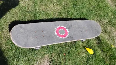 Skate Board, View more