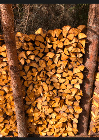 Seasoned birch firewood for sale