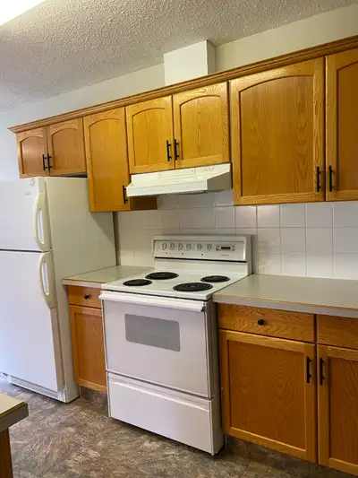 Two Bedroom Four Plex for Rent in Rocky Mountain House - Quiet residential area with quiet adult nei...