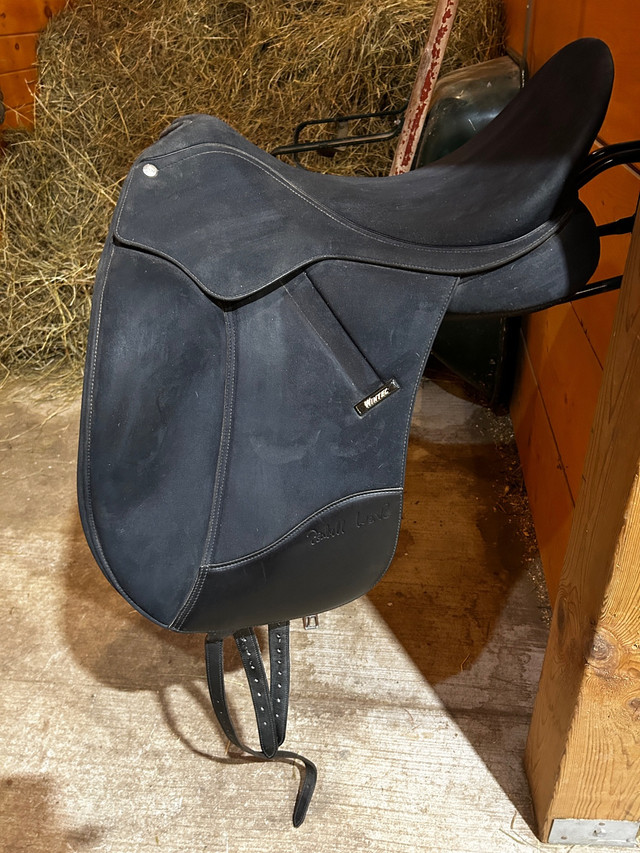 18” Wintec Isabell Bates Dressage Saddle in Equestrian & Livestock Accessories in Sudbury