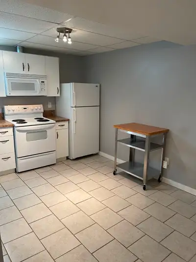 NorthShore 1 Bedroom + Den basement suite available July 1st