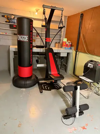 Bowflex & Standing Punching Bag, View more