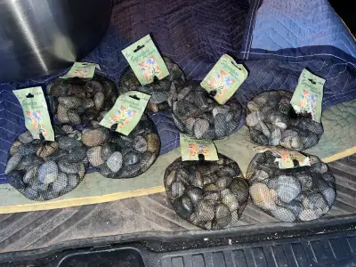 PARKER PICKERS - 8 packets of decorative indoor or outdoor river rock / large pebbles. Entire lot is...