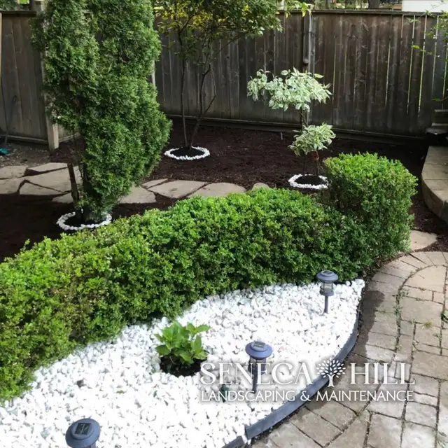Professional Lawn Maintenance Plans | SenecaHill Landscaping in Lawn, Tree Maintenance & Eavestrough in City of Toronto - Image 4